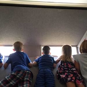 Meet your Posher, Pat